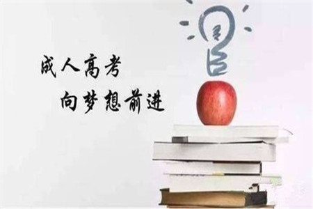 历年成考经验分享，别错过哦~