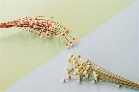 贵州成人高考大专报名需要什么条件？
