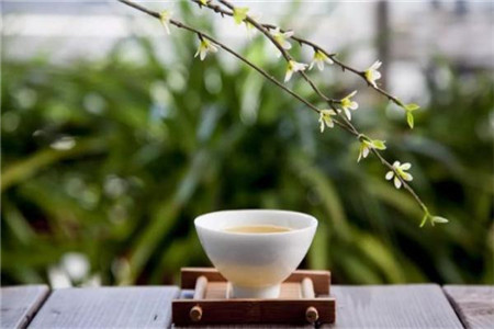 http://www.hspolzk.cn/